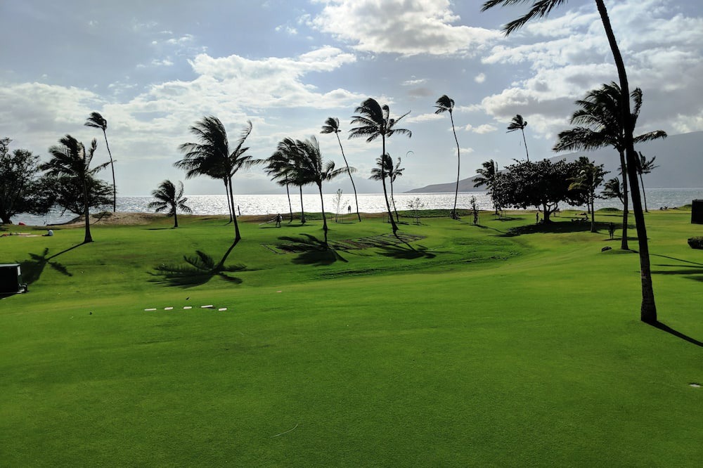 Photo of Others in Kihei