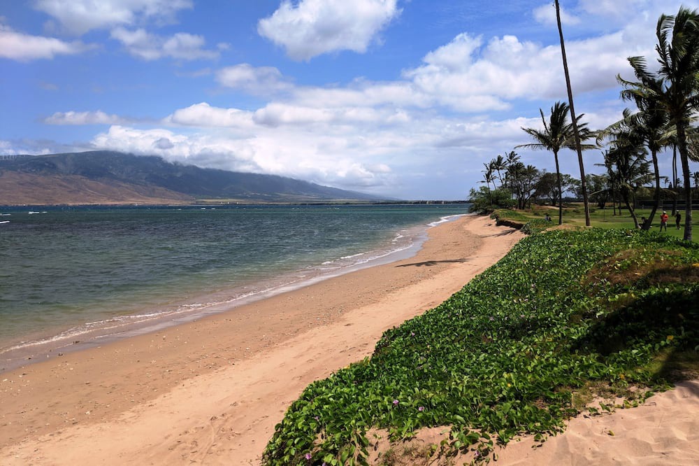Photo of Others in Kihei