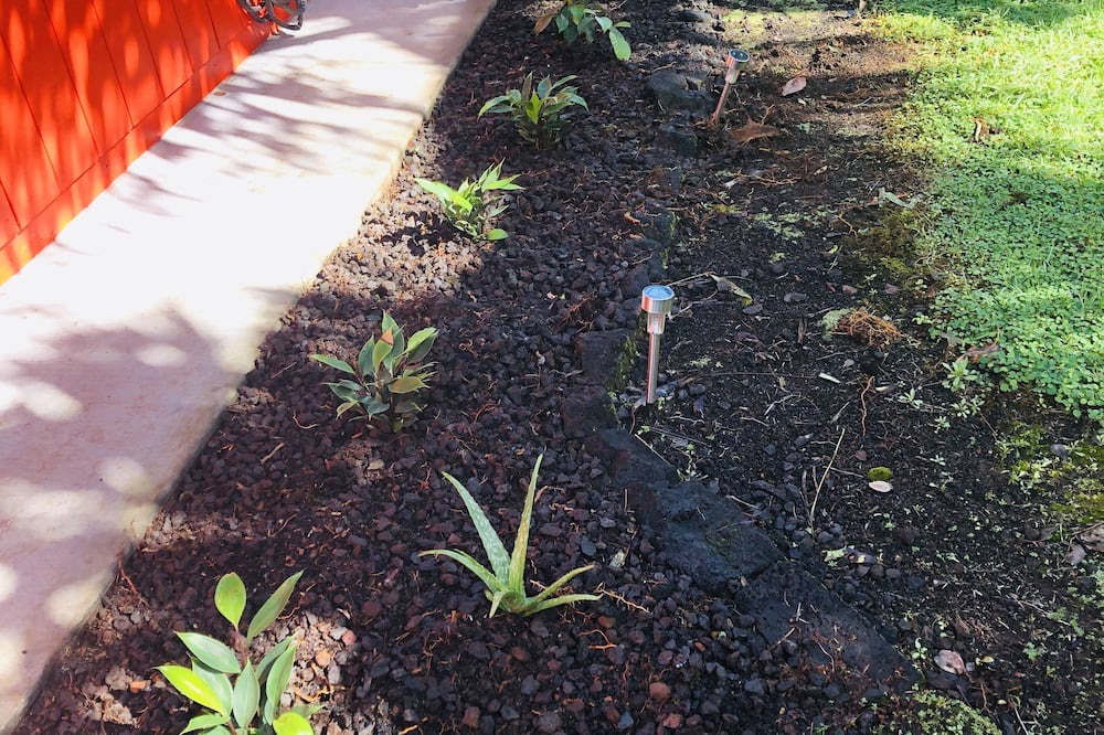 Photo of Outdoor in Kapoho