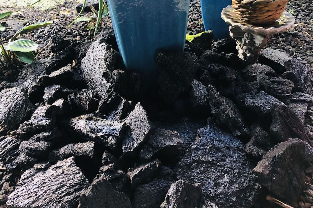 Photo of Outdoor in Kapoho