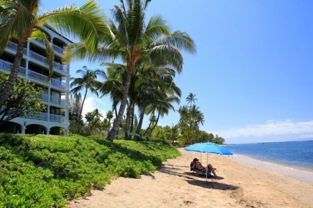 Photo of Others in Historic Lahaina Front Street