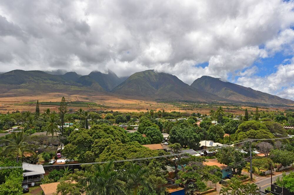 Photo of Others in Historic Lahaina Front Street