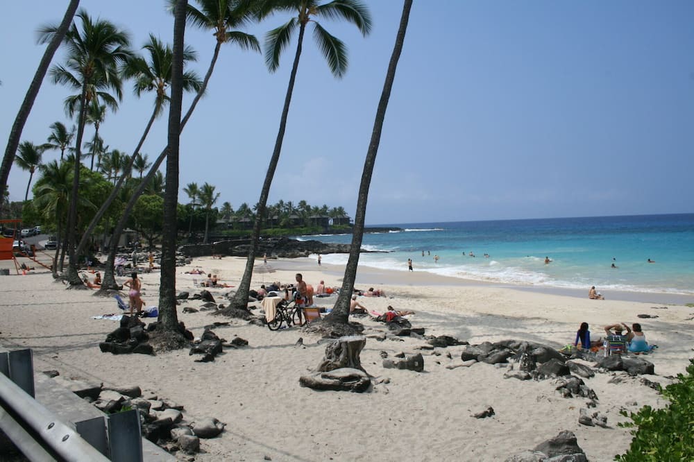 Photo of Others in Kahaluu Bay