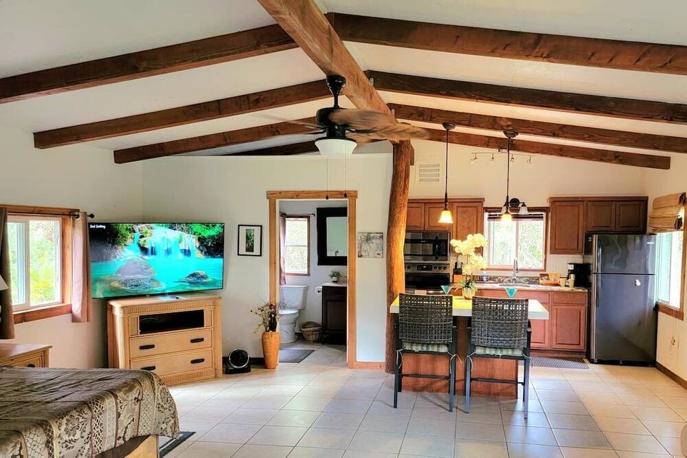 Photo of Livingroom in Pahoa