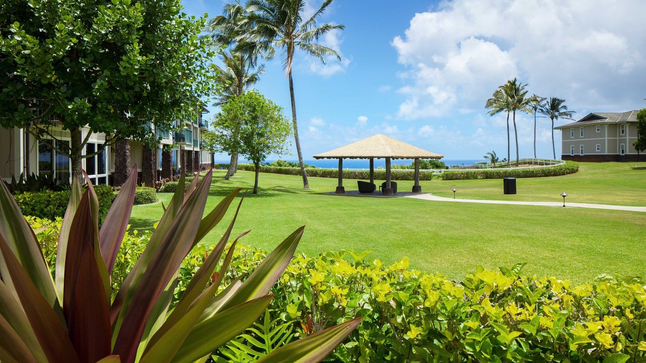 Photo of Outdoor in Princeville
