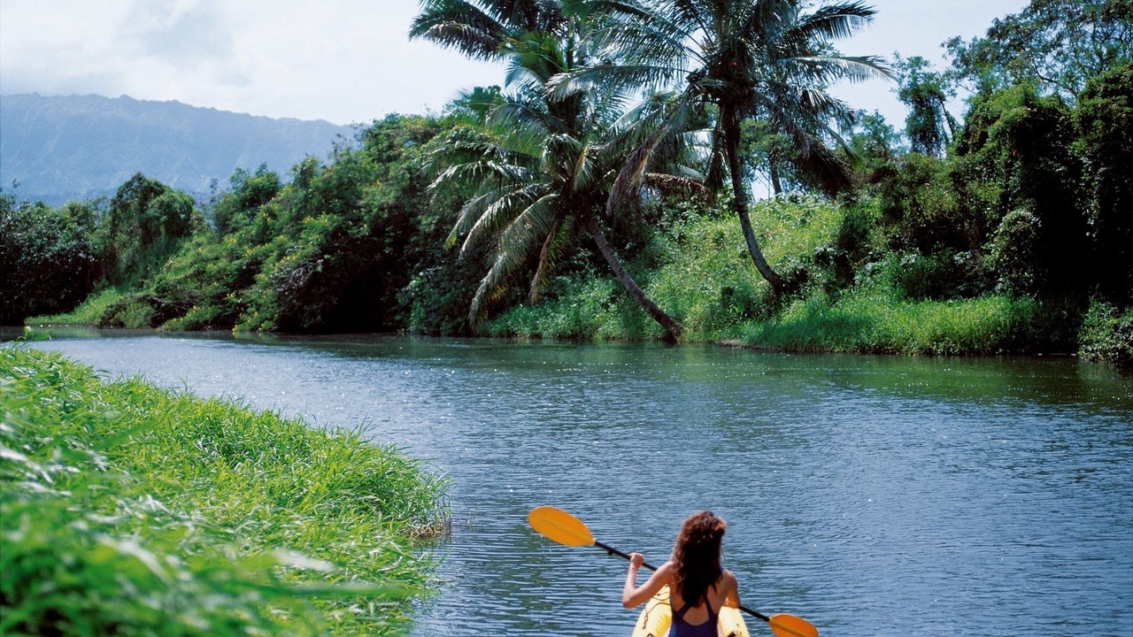 Photo of Others in Princeville