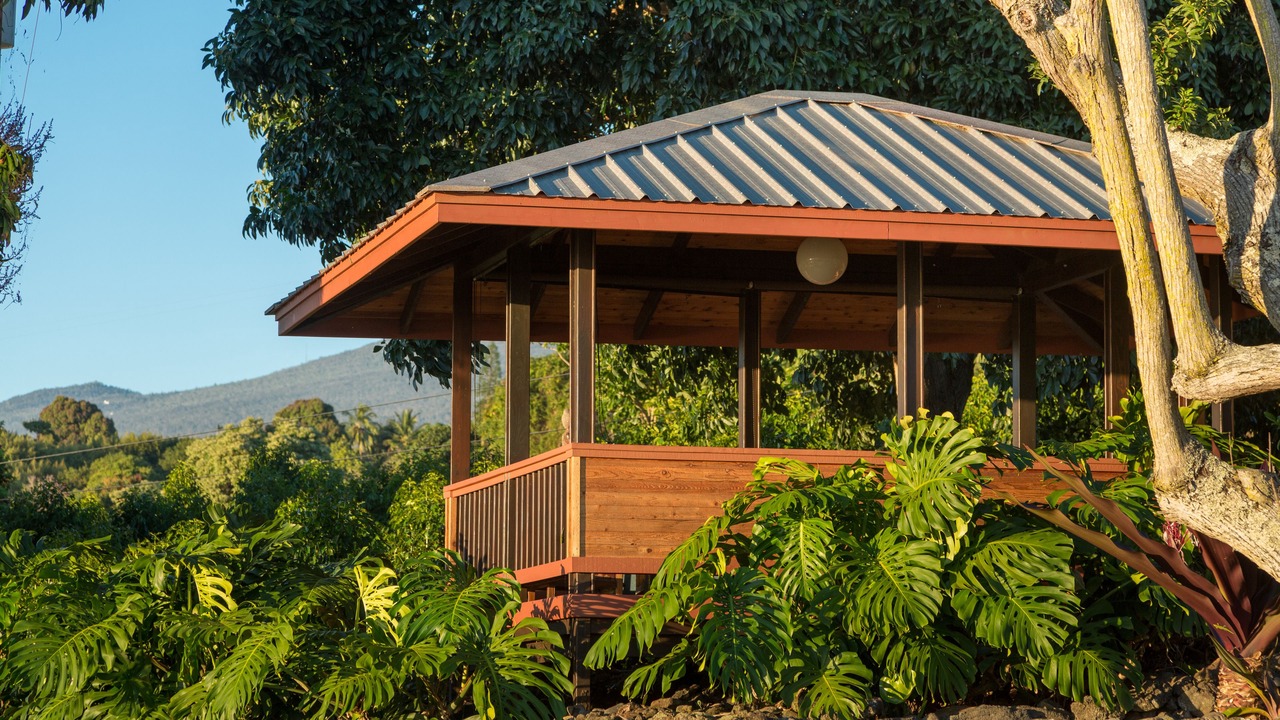 Photo of Outdoor in Holualoa