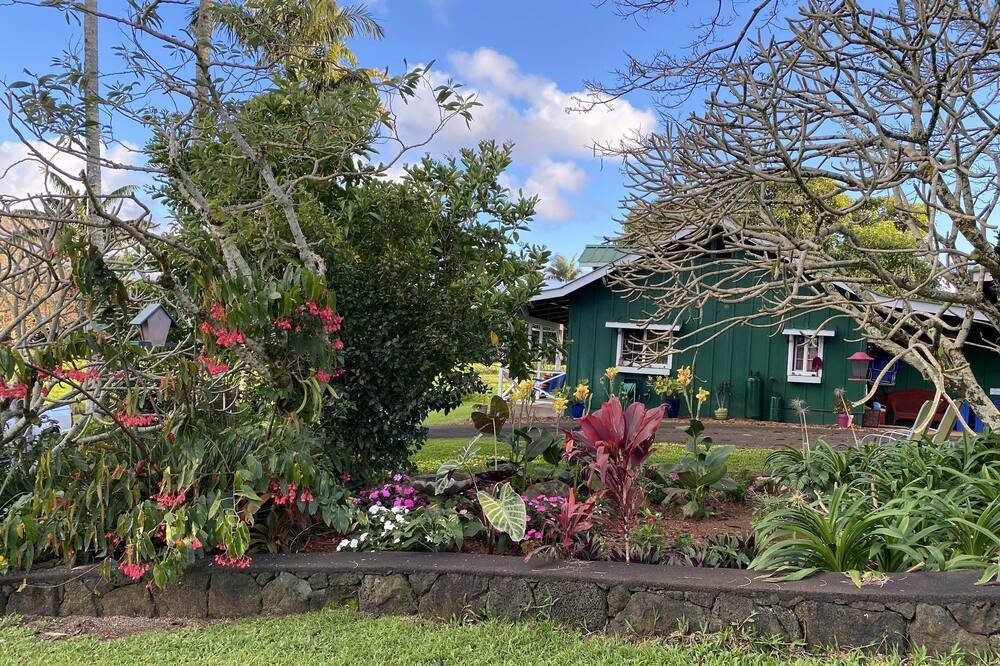 Photo of Outdoor in Papaikou