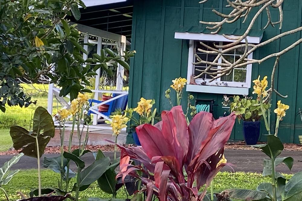 Photo of Outdoor in Papaikou