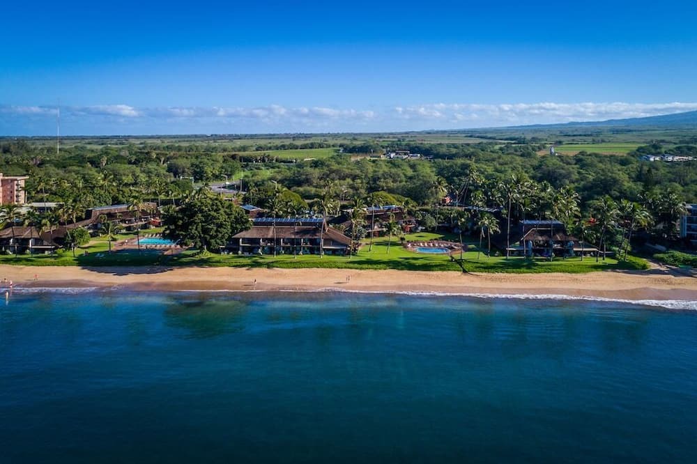 Photo of Others in Kihei