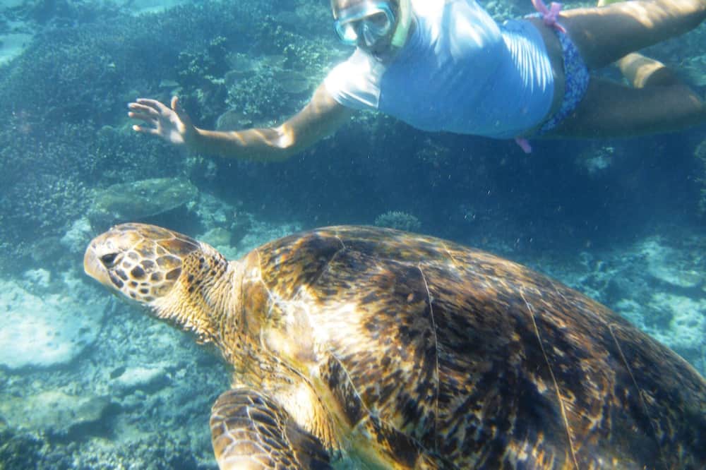 Photo of Others in Waialua