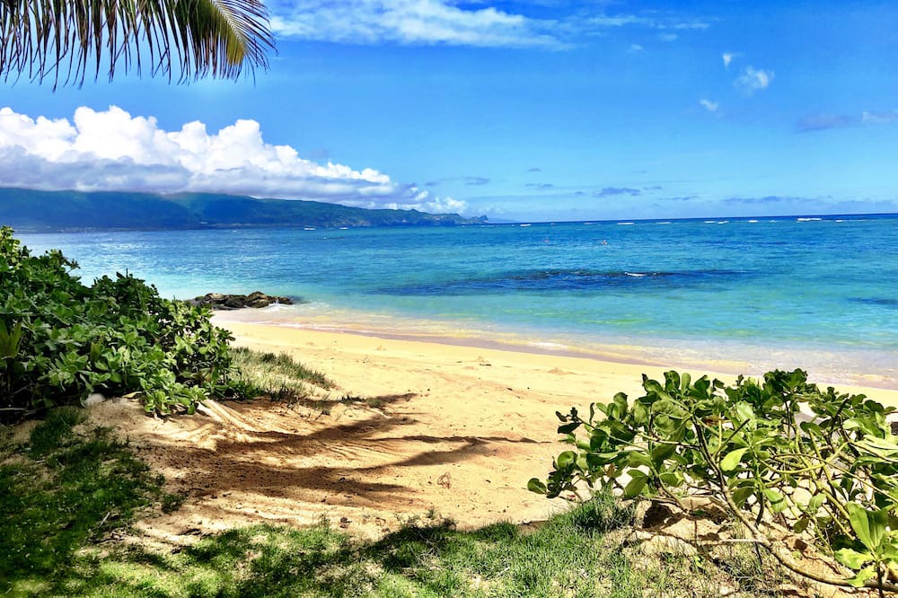 Photo of Others in Kahului