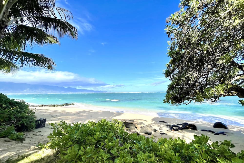 Photo of Others in Kahului