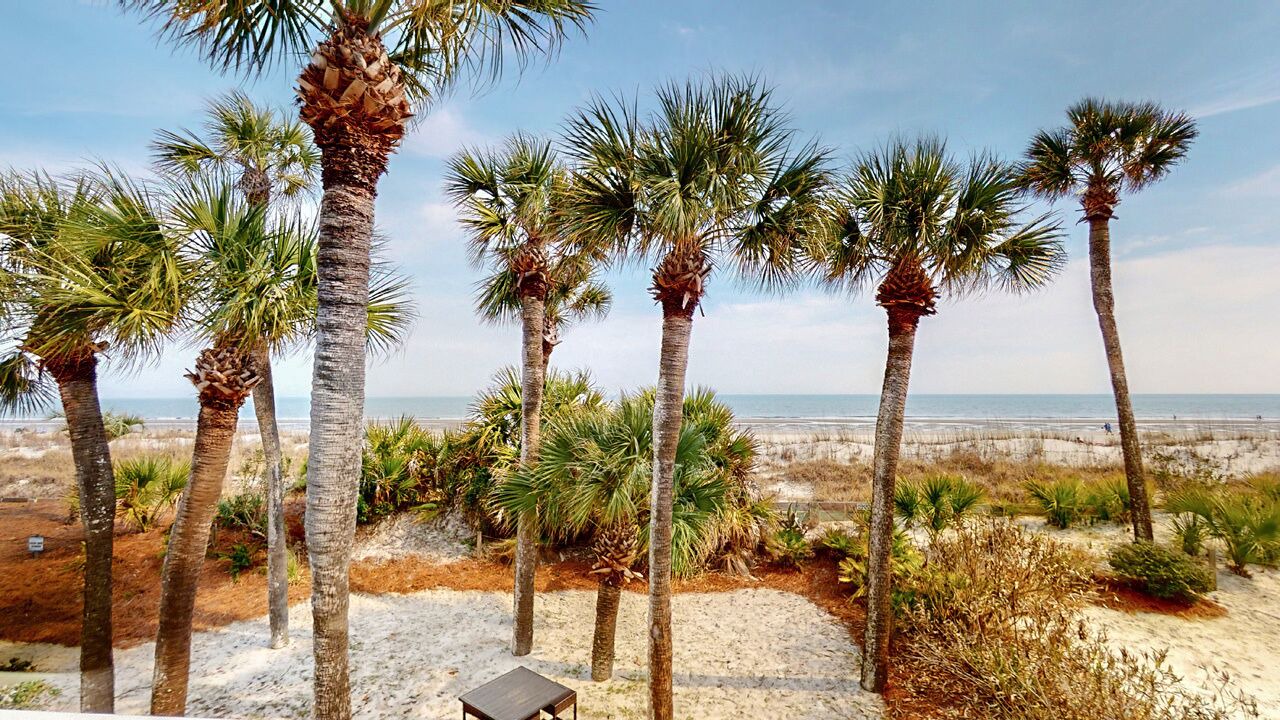 Photo of Outdoor in Palmetto Dunes