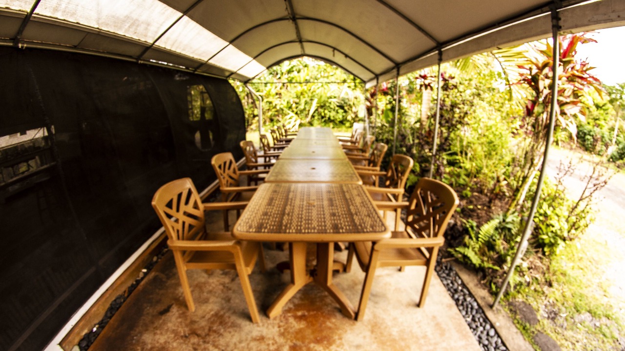 Photo of Outdoor in Pahoa