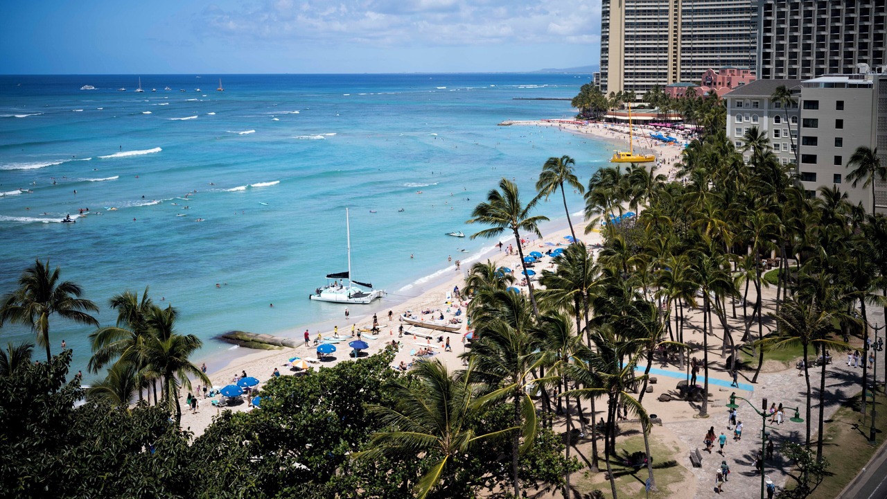 Photo of Others in Waikiki