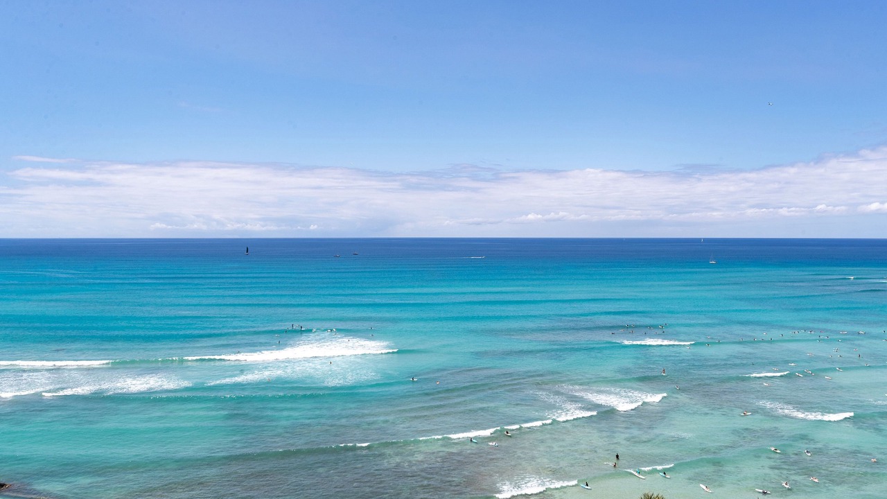 Photo of Others in Waikiki