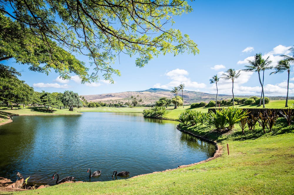 Photo of Others in Ko Olina