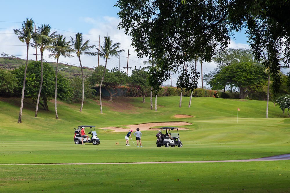 Photo of Others in Ko Olina