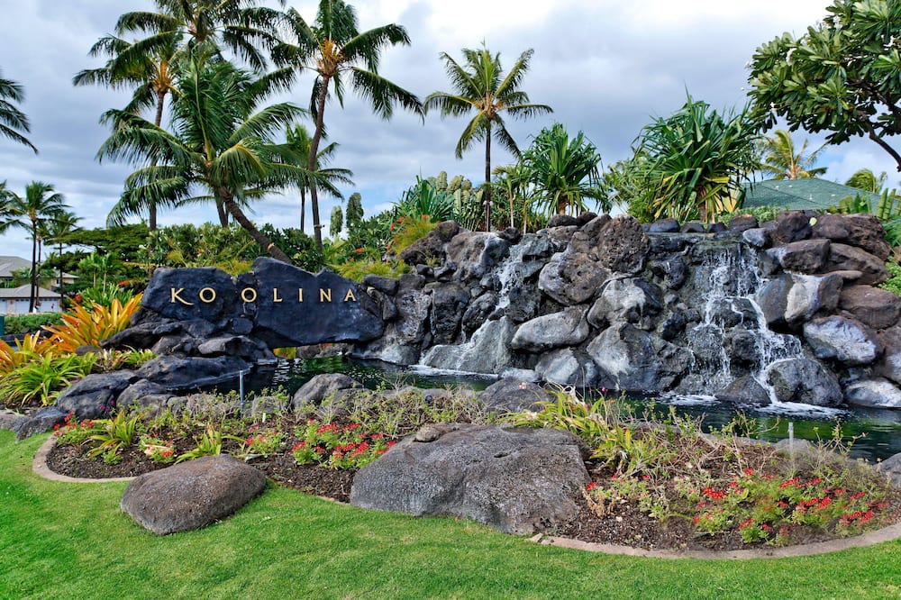 Photo of Others in Kapolei