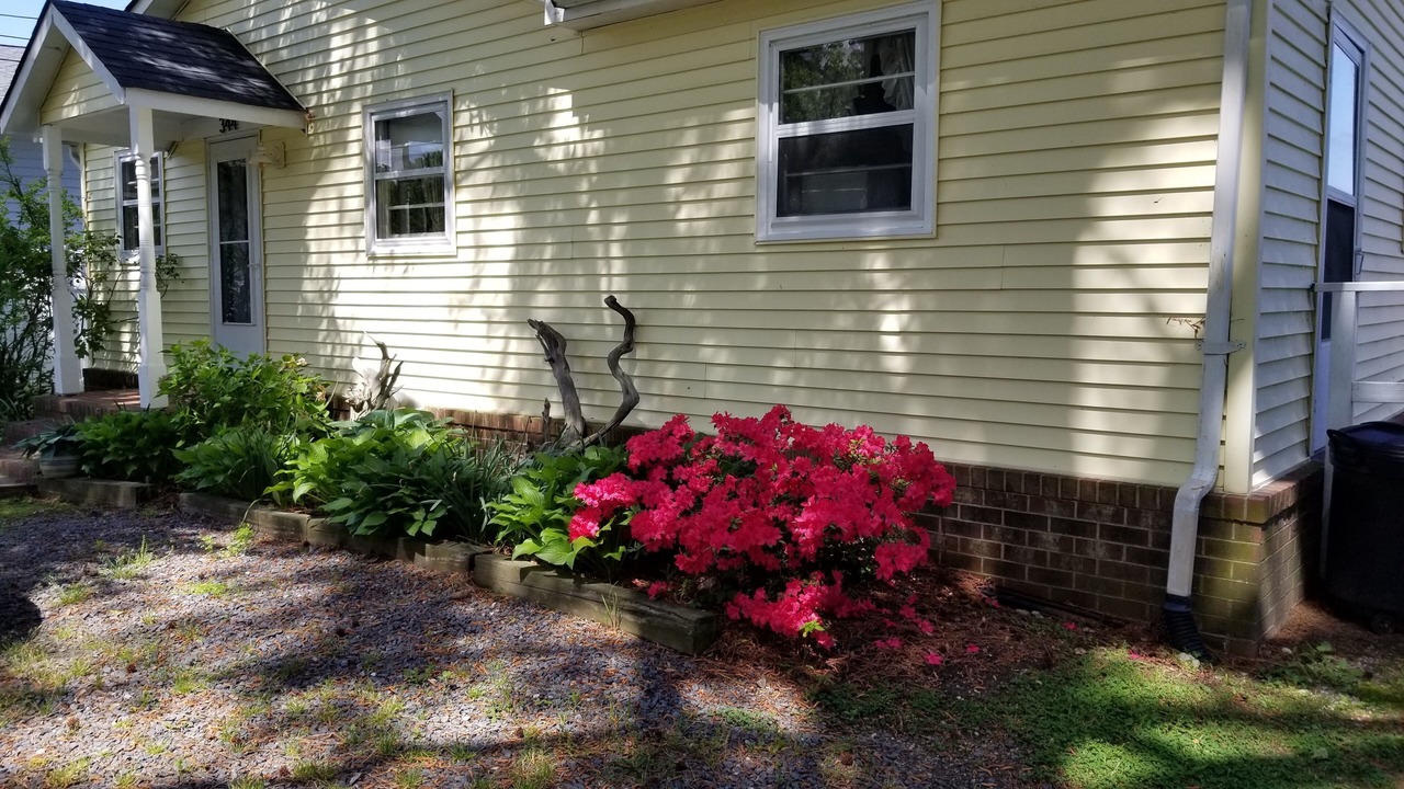 Photo of Outdoor in Colonial Beach