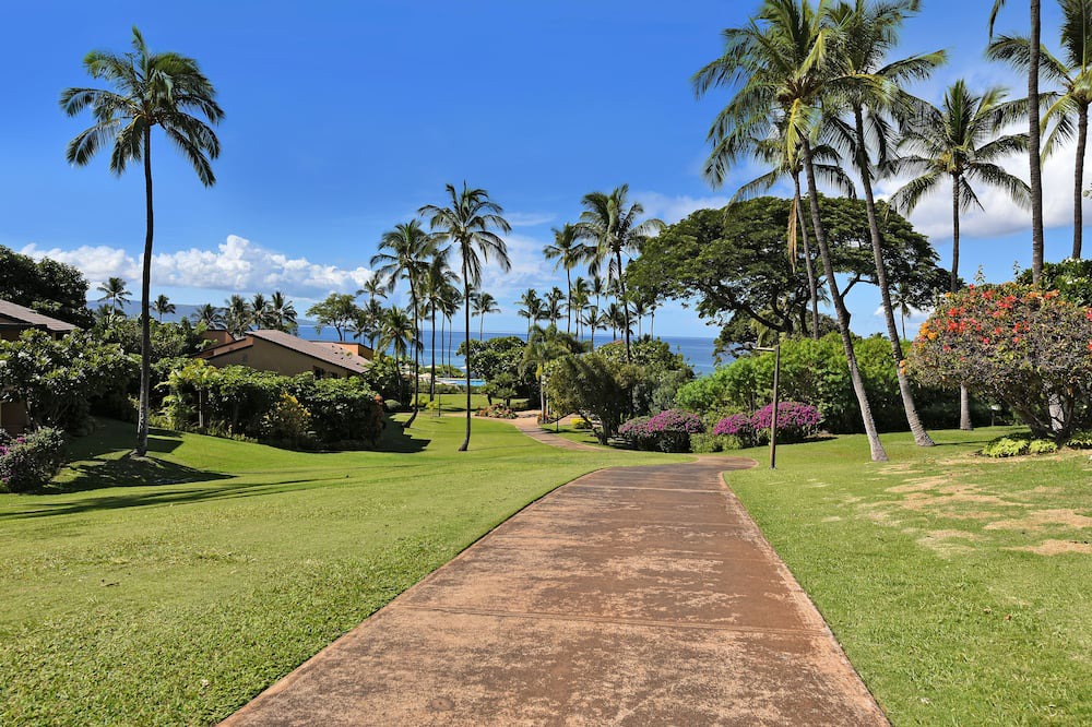 Photo of Outdoor in Wailea