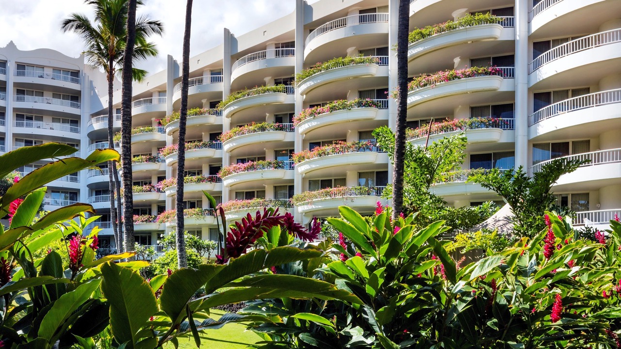 Photo of Outdoor in Wailea