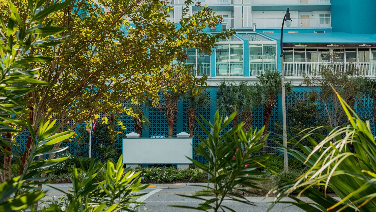 Photo of Outdoor in Windy Hill