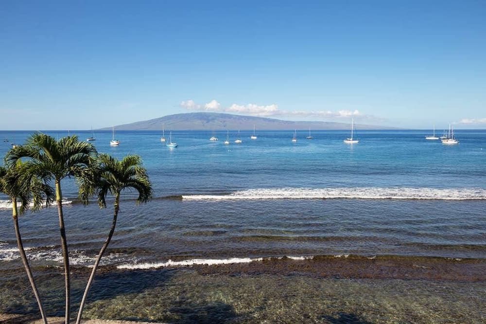 Photo of Others in Historic Lahaina Front Street
