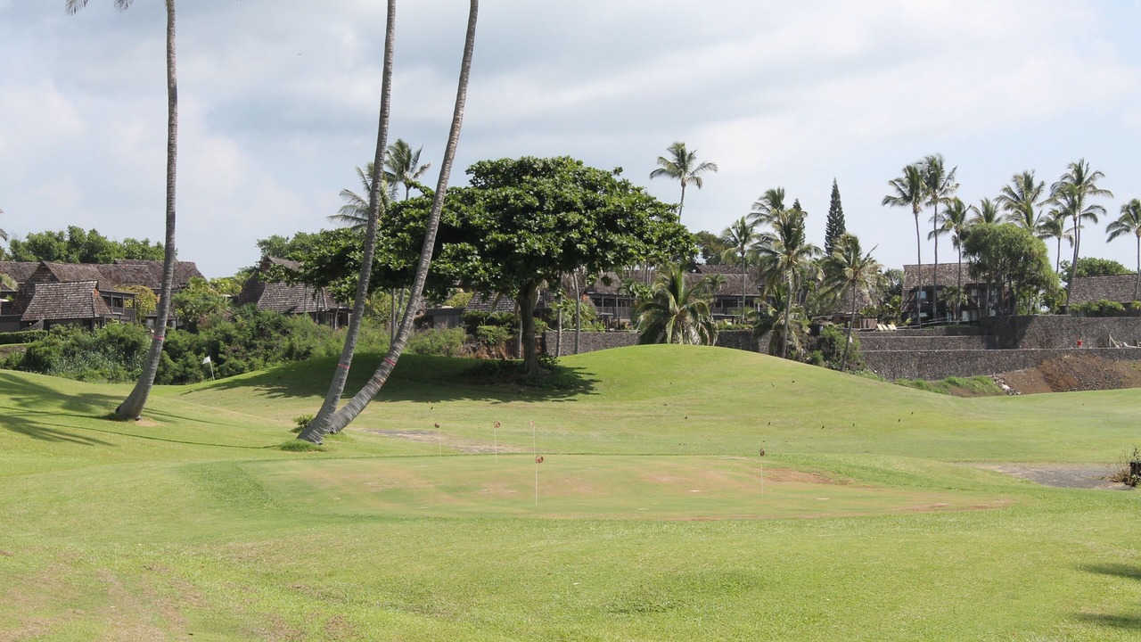 Photo of Others in Pahala