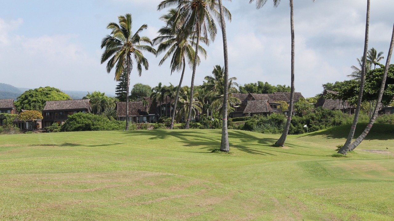 Photo of Others in Pahala