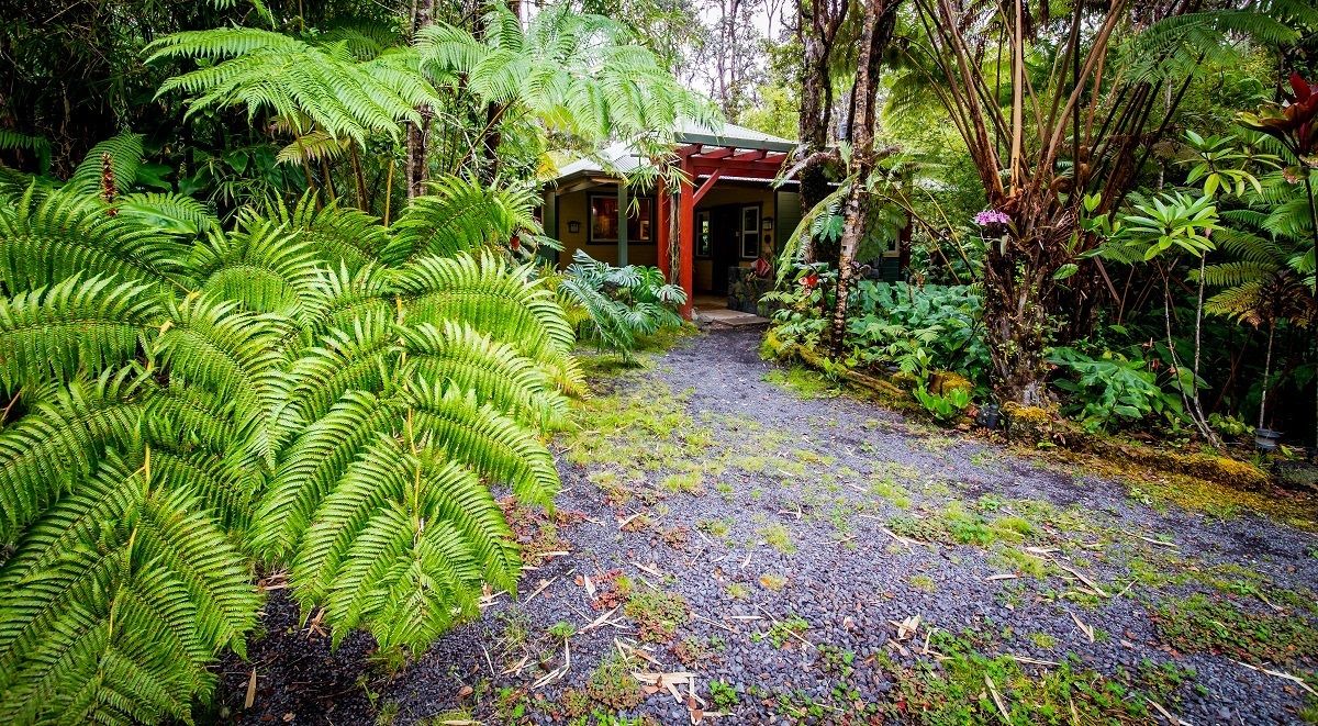 Photo of Outdoor in Volcano