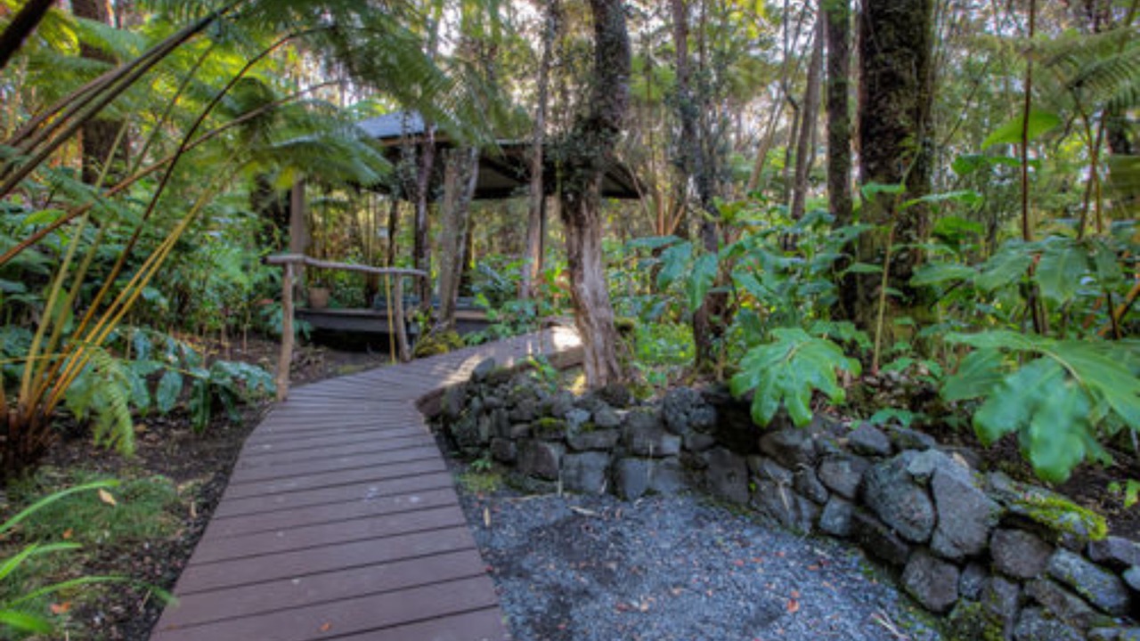 Photo of Outdoor in Volcano