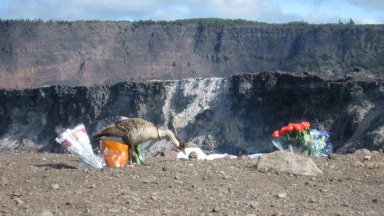 Photo of Outdoor in Volcano