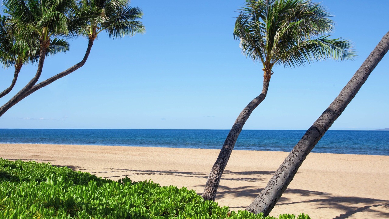 Photo of Others in Kaanapali