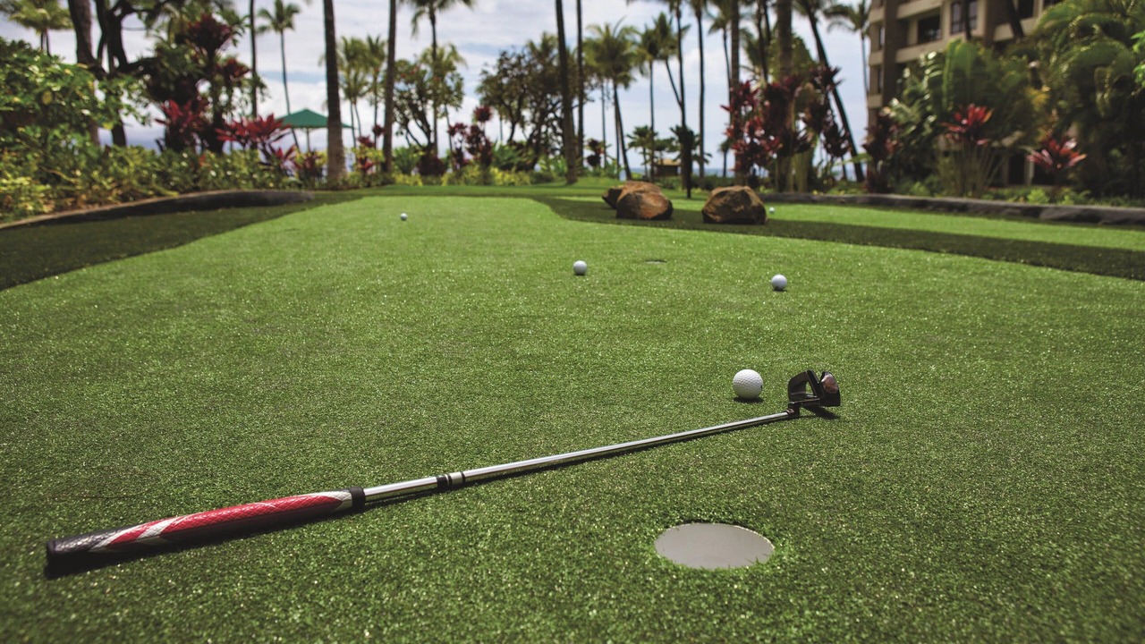 Photo of Others in Kaanapali