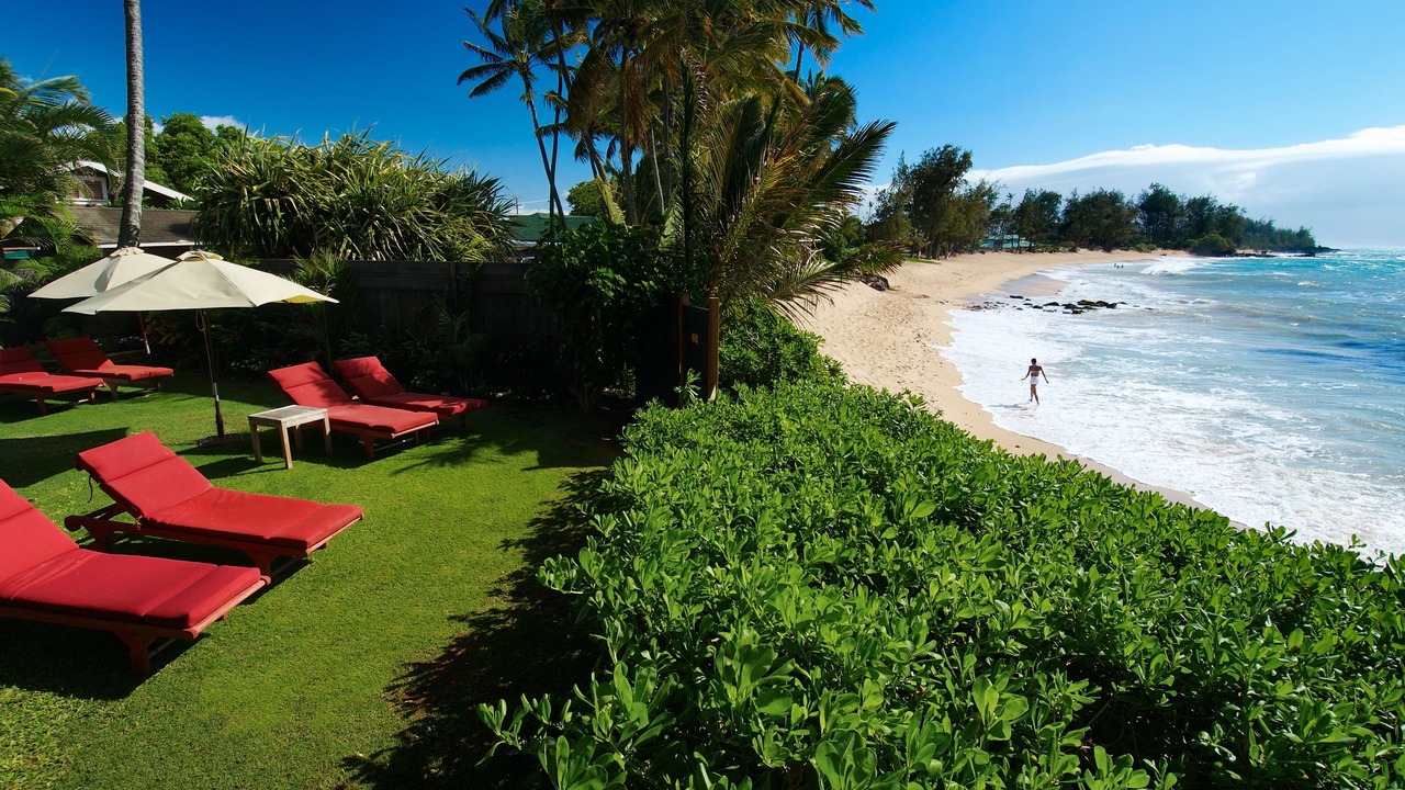 Photo of Outdoor in Paia