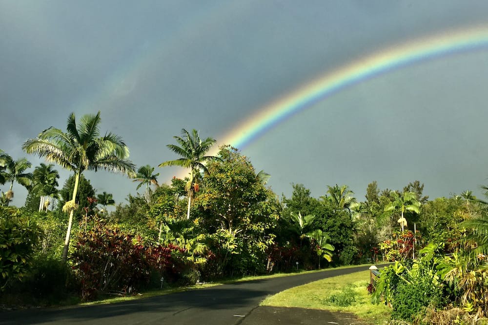 Photo of Others in Holualoa