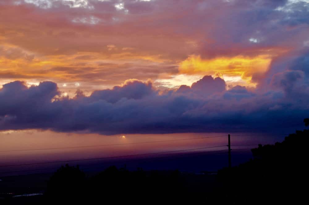Photo of Others in Holualoa