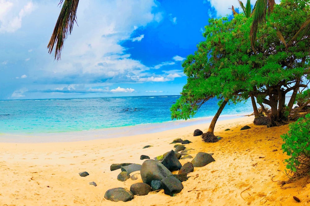 Photo of Others in Kahului