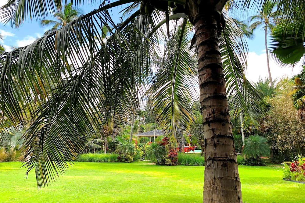 Photo of Outdoor in Kahului