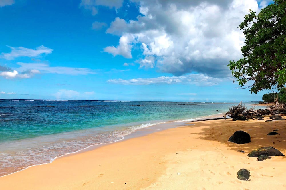 Photo of Others in Kahului