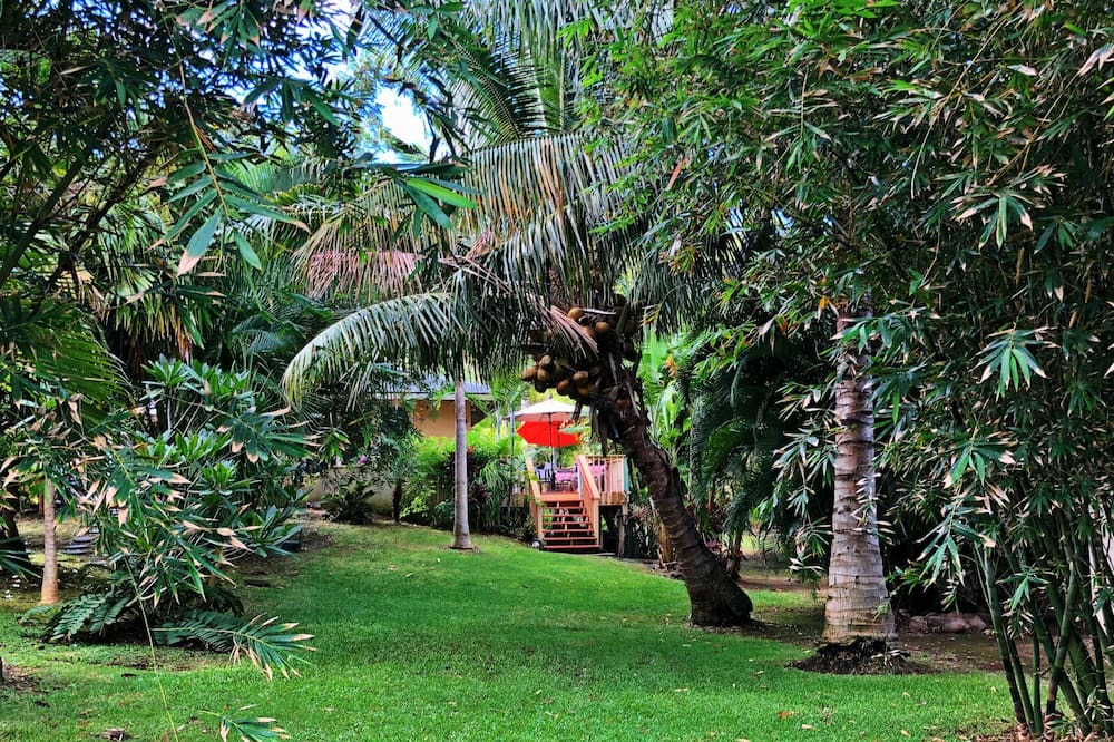 Photo of Outdoor in Kahului
