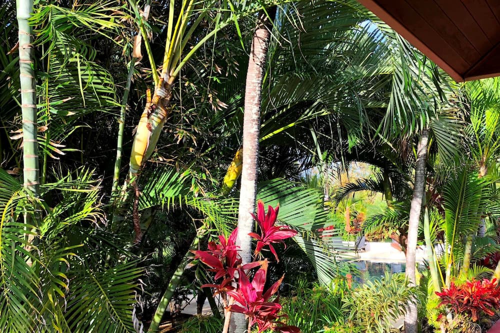 Photo of Outdoor in Kahului