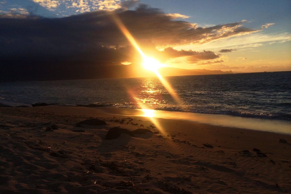 Photo of Others in Kahului