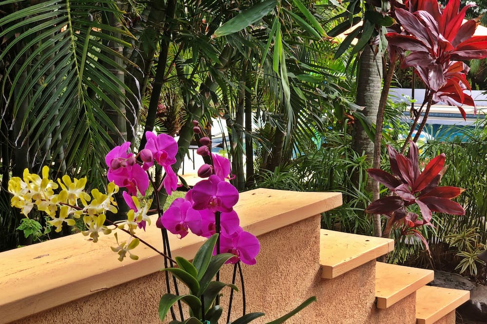 Photo of Others in Kahului