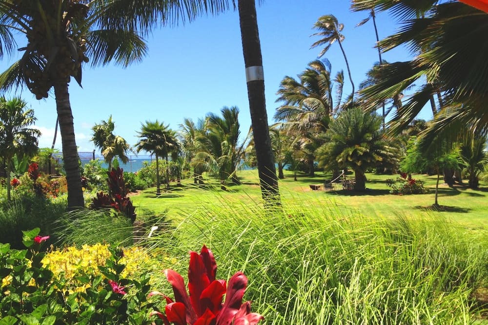 Photo of Outdoor in Kahului