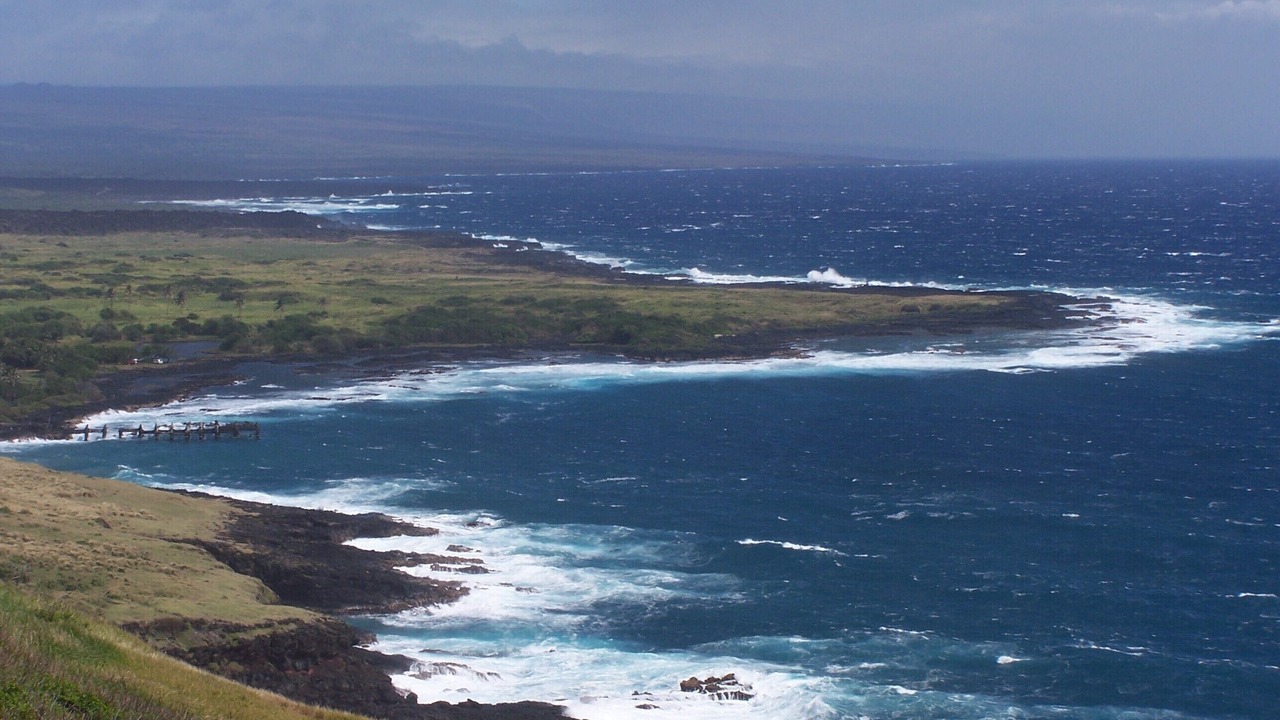 Photo of Others in Ocean View
