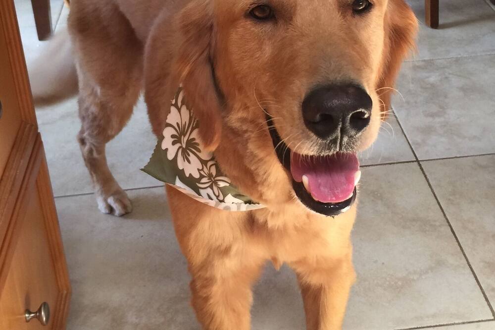 Photo of Others in Kailua