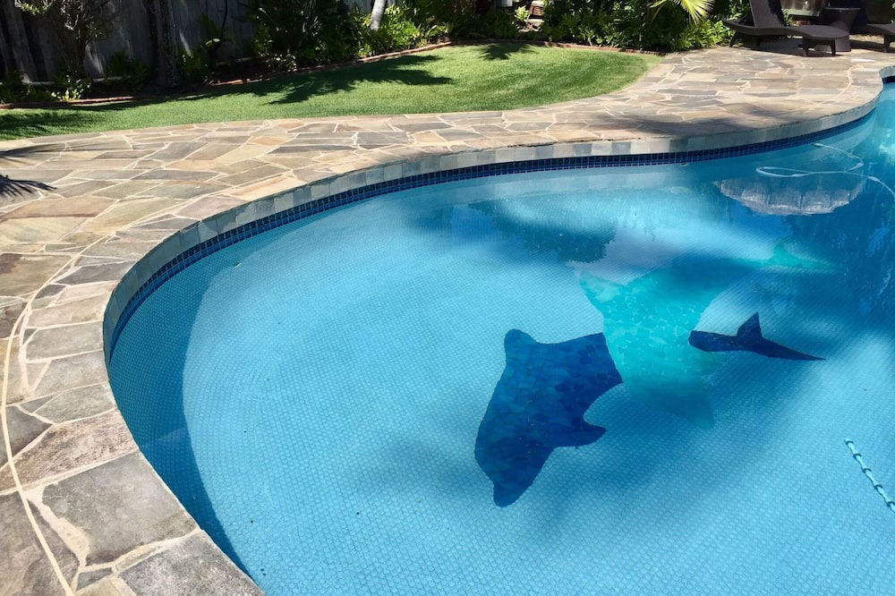 Photo of Outdoor in Kailua